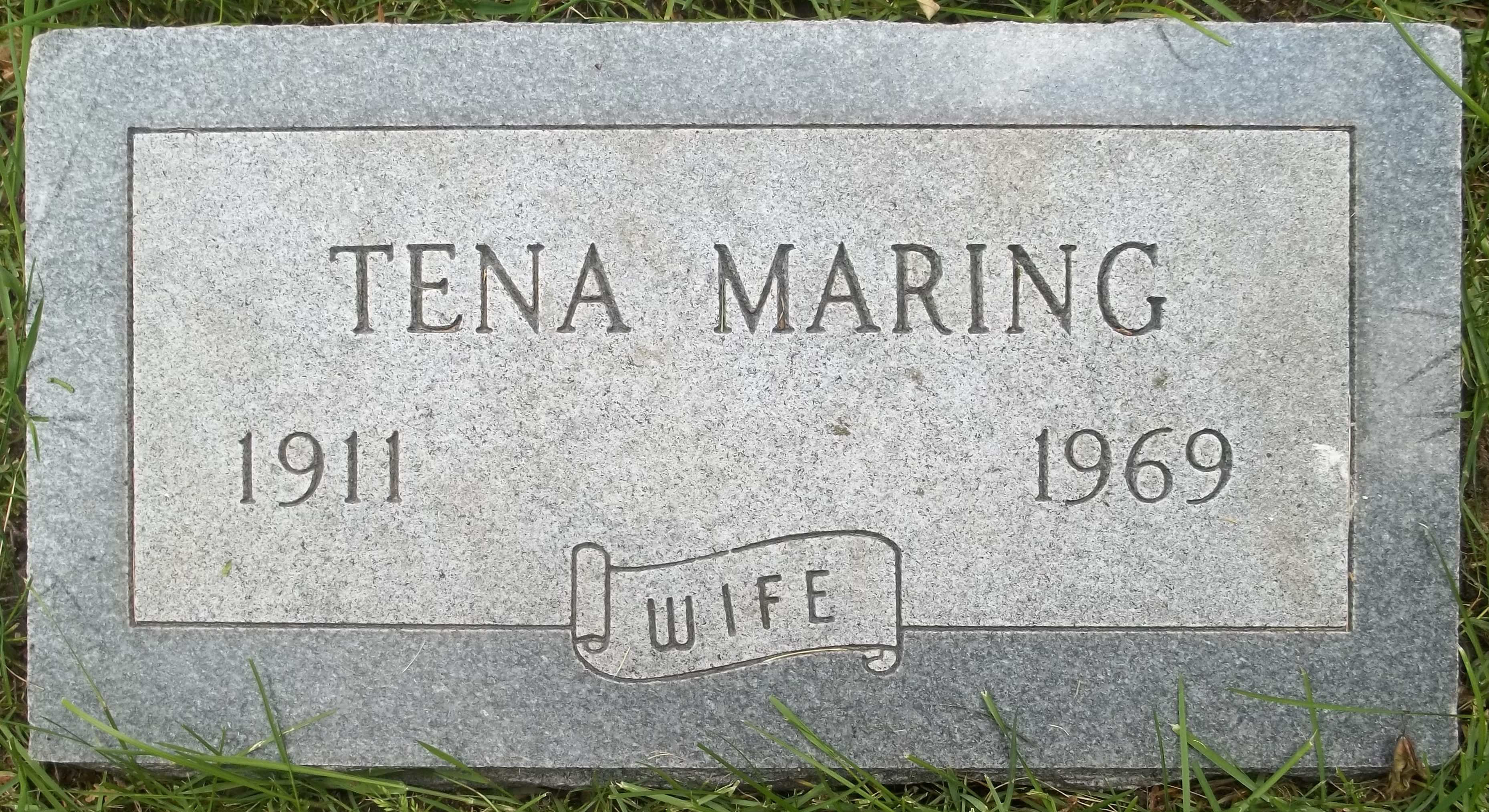 grafsteen tena hamming.